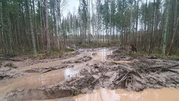 Helle Mäemetsa ülevaade Nursipalust